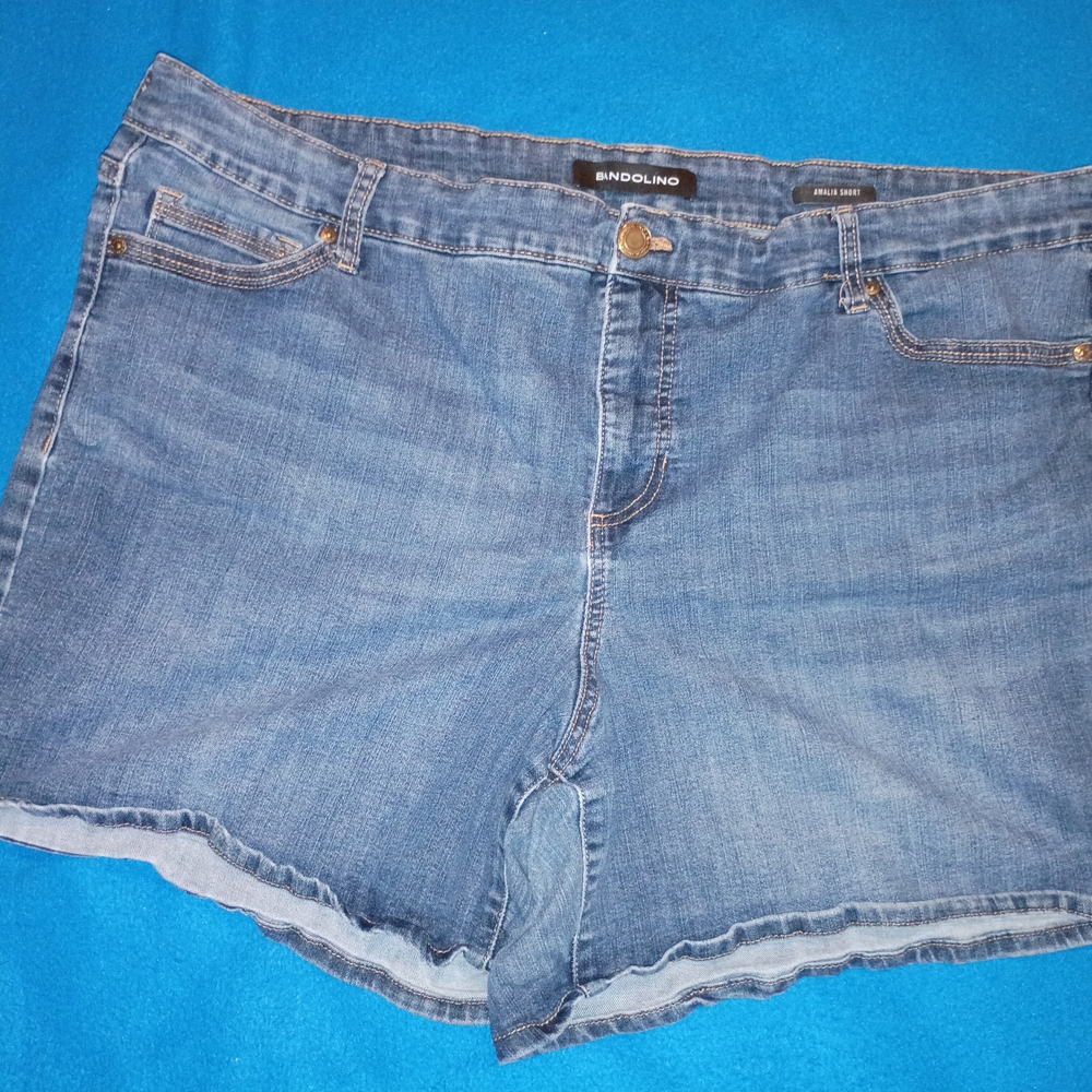Women's Blue Denim Shorts NWOT 20W